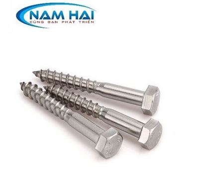 VÍT PHONG DIN571
