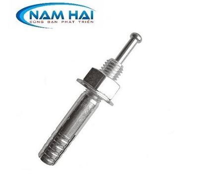 BU LÔNG NỞ – TẮC KÊ NỞ ĐINH