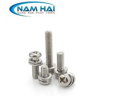VÍT PAKE ĐẦU TRÒN LONG ĐEN KÉP GB9074.8